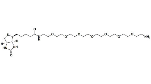 Αμινο Biotin ΓΟΜΦΩΝ υψηλής αγνότητας - ΓΟΜΦΟΣ 8 - αμίνη με το CAS 1334172-76-7 MW 594,76