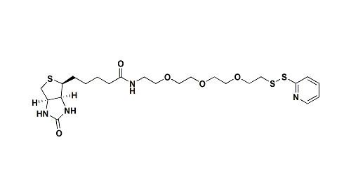 Biotin συνδετικών εκδοτών ΓΟΜΦΩΝ - PEG3 - Pyridine Thiol αντιδραστικό παράγωγο ΓΌΜΦΩΝ για τροποποιεί Proteiny